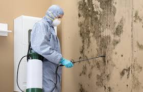 Best Dehumidification Services  in Bartonville, TX